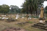 click to view detail