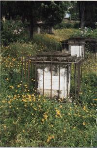 Gravestone of Fanny Emma Conway