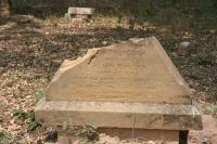 click to view detail