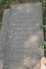 click to view detail