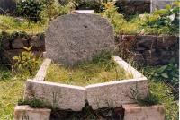 click to view detail