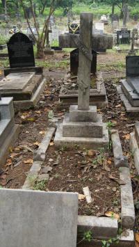 click to view detail