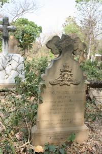 click to view detail