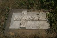 click to view detail