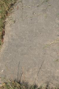 click to view detail