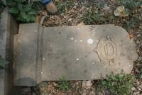 click to view detail