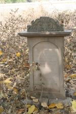 click to view detail