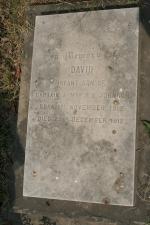 click to view detail