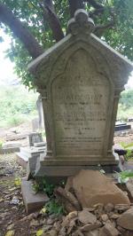 click to view detail