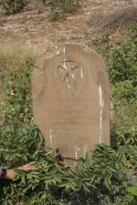 click to view detail