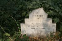 click to view detail