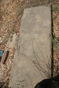 click to view detail