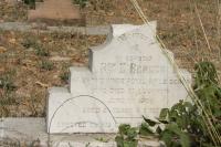 click to view detail