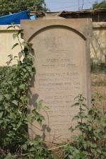 click to view detail