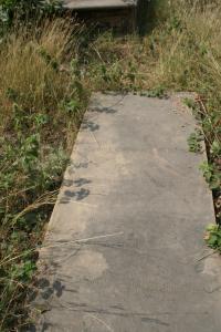 click to view detail