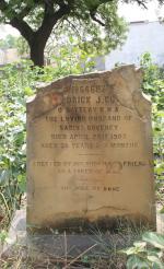 click to view detail