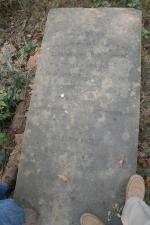 click to view detail