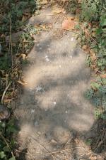 click to view detail