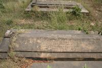 click to view detail