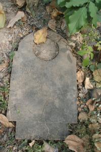 click to view detail