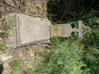 click to view detail