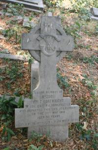 click to view detail