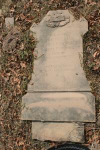 click to view detail