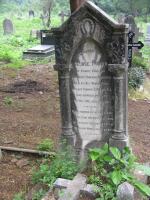 click to view detail