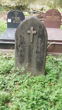 click to view detail