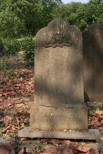 click to view detail