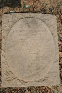 click to view detail