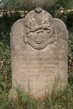 click to view detail