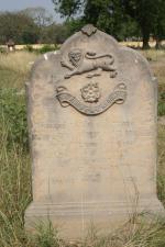 click to view detail