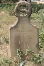 click to view detail