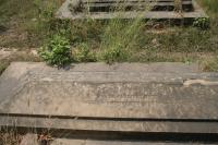 click to view detail