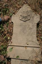 click to view detail