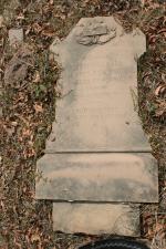 click to view detail