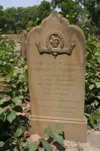 click to view detail