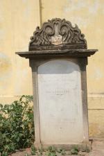 click to view detail