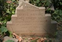 click to view detail