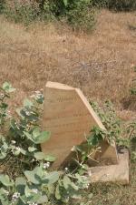 click to view detail