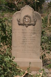 click to view detail