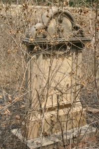 click to view detail