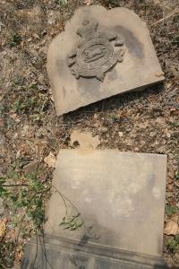 click to view detail