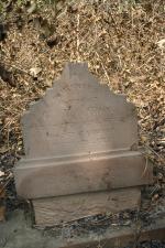 click to view detail