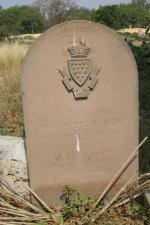 click to view detail