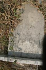 click to view detail