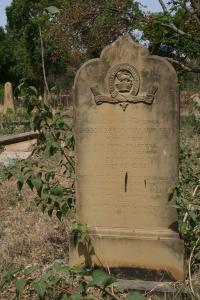 click to view detail