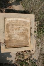 click to view detail