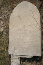 click to view detail